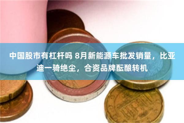 中国股市有杠杆吗 8月新能源车批发销量，比亚迪一骑绝尘，合资品牌酝酿转机