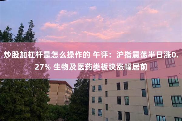 炒股加杠杆是怎么操作的 午评：沪指震荡半日涨0.27% 生物及医药类板块涨幅居前