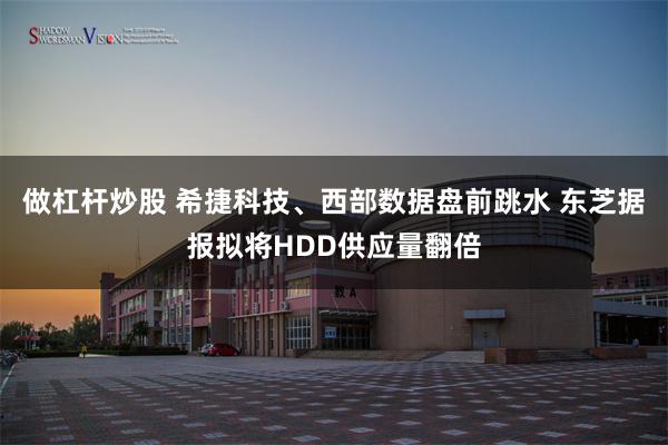 做杠杆炒股 希捷科技、西部数据盘前跳水 东芝据报拟将HDD供应量翻倍