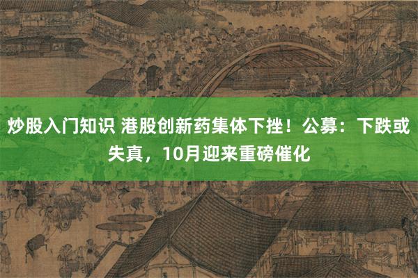 炒股入门知识 港股创新药集体下挫！公募：下跌或失真，10月迎来重磅催化