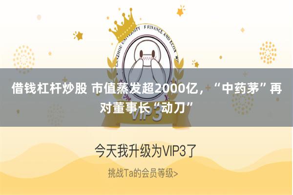 借钱杠杆炒股 市值蒸发超2000亿,“中药茅”再对董事长“动刀”