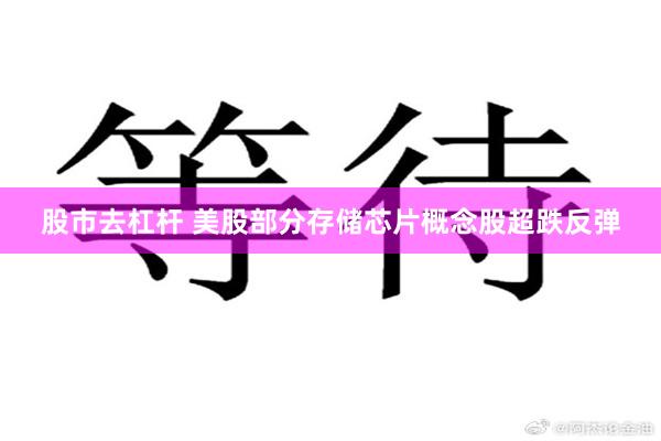 股市去杠杆 美股部分存储芯片概念股超跌反弹
